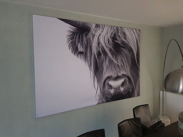 Customer photo: Portrait Scottish Highlander black and white by Sandra van Kampen, on ArtFrame