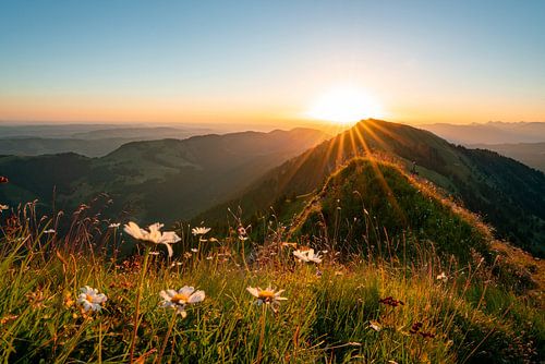 Bloemrijke zonsopgang op de Hochgrat met uitzicht op de Rindalphorn