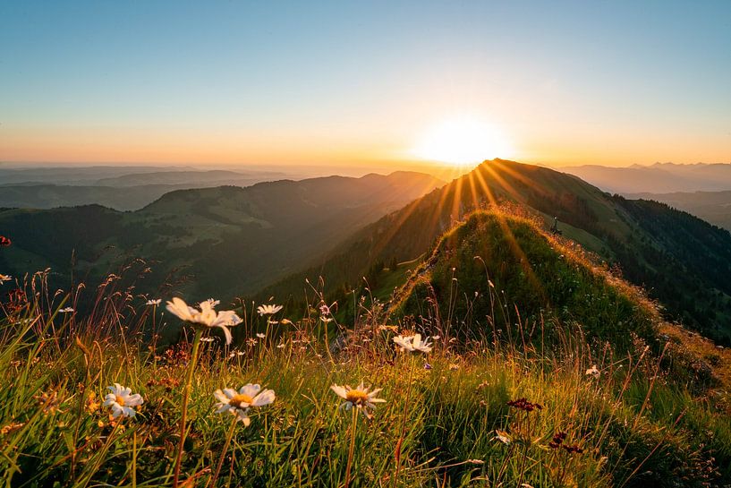 Flowery sunrise on the Hochgrat with view of the Rindalphorn by Leo Schindzielorz