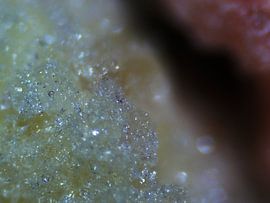 Vruchtenhagel onder de microscoop van Wijco van Zoelen