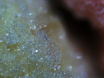 Vruchtenhagel onder de microscoop van Wijco van Zoelen