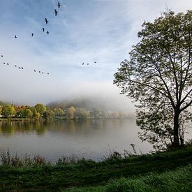 Nebliger Herbstmorgen an der Mosel von Martin de Bock