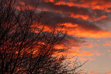 Adembenemend kleurrijke zonsondergang van Jolanda de Jong-Jansen