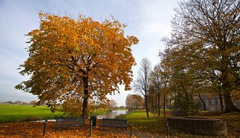 Herfst in Elburg
