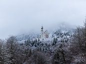 Neuschwanstein im Schnee von Margriet Photography Miniaturansicht