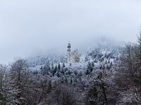 Neuschwanstein in de sneeuw