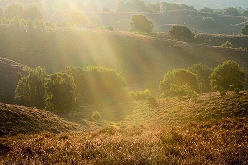 Lever de soleil sur la Posbank