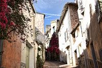 Strasse in Hyères Frankreich