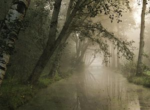 Der geflügelte Wald erwacht