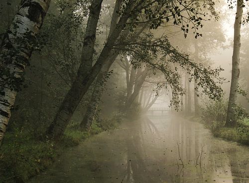 Wingerdse bos ontwaakt