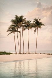 Paradisiacal tranquility