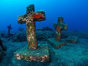 Crosses of Malpique, La Palma, Canary Islands 1 by René Weterings thumbnail