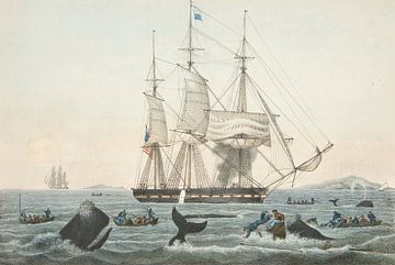 Pêche à la baleine en mer du Sud, James S. Baillie