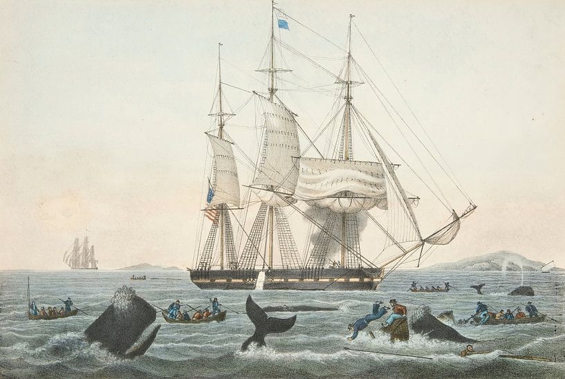 South Sea Whale Fishery, James S. Baillie by Masterful Masters