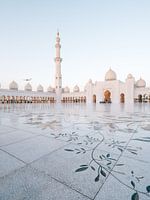 La mosquée Sheikh Zayed (Abu Dhabi) avec l'avion en arrière-plan dans la soirée