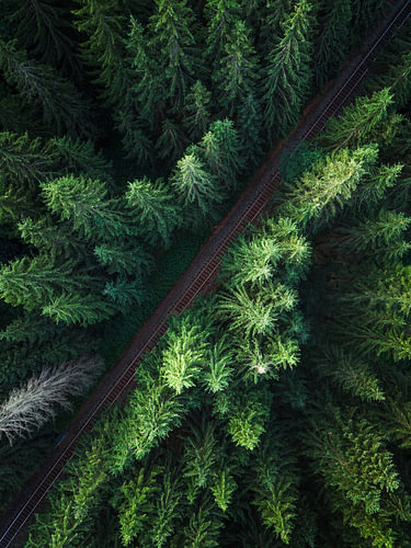 A forgotten railway line in the Styrian mountains