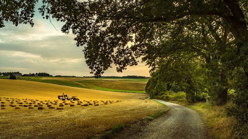 Stro balen Zuid Limburg in de avond zon van piet douma