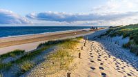View of the beach.