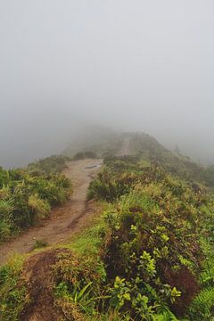 Marche brumeuse sur Lisa Bouwman