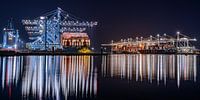 APM Terminals Maasvlakte 2