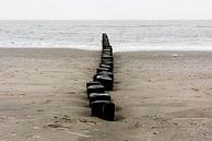 Wellenbrecher am Strand von Ameland von Rob IJsselstein Miniaturansicht