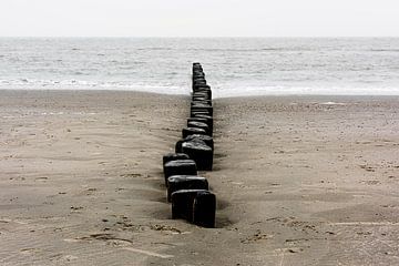 Paalhoofden op het strand van Ameland