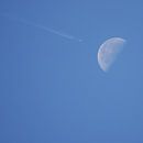 Fly me to the moon van willemien kamps thumbnail