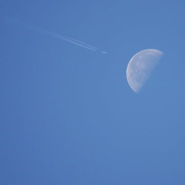 Fly me to the moon by willemien kamps