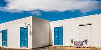 De was hangt te drogen voor een wit huis op La Graciosa, Lanzarote. von Harrie Muis Miniaturansicht