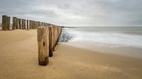 Pure Sea