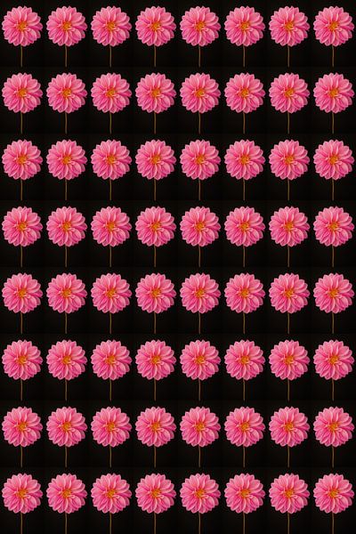 Dahlias&#039;s roses dupliqués 8 par 8 par Henriette Tischler van Sleen