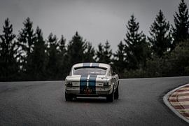 Ford Mustang Shelby GT350 by Aron Nijs