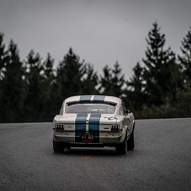 Ford Mustang Shelby GT350 sur Aron Nijs