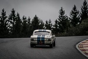 Ford Mustang Shelby GT350 sur Aron Nijs