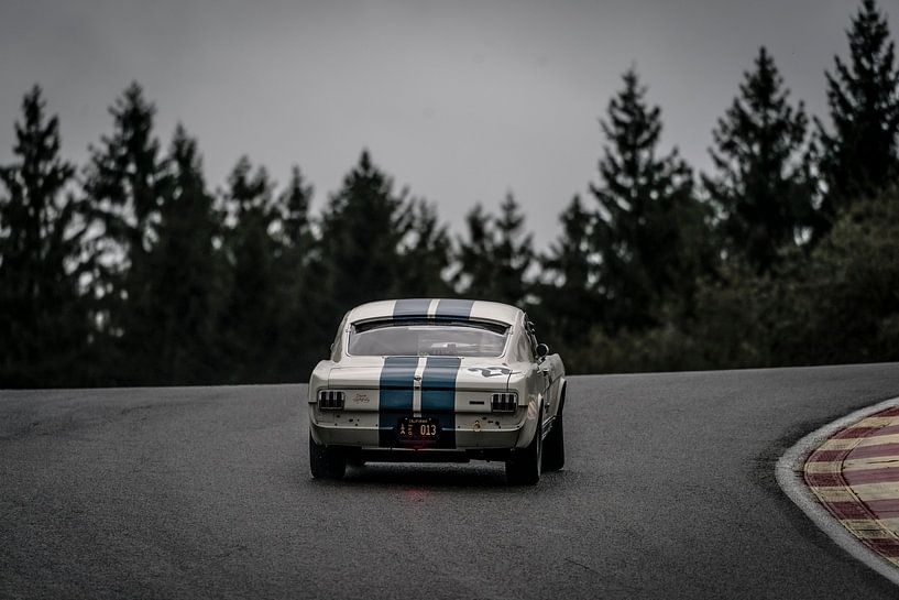 Ford Mustang Shelby GT350 von Aron Nijs