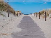 Strandweg an der Ostsee von Animaflora PicsStock Miniaturansicht