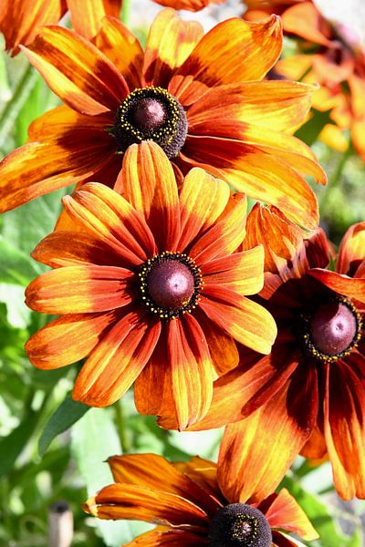 Orange sun hat by Hielkje Koen