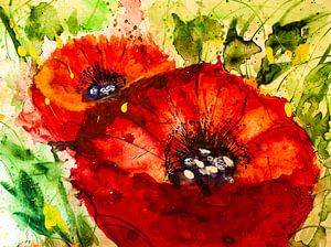 Zwei rote Mohnblumen