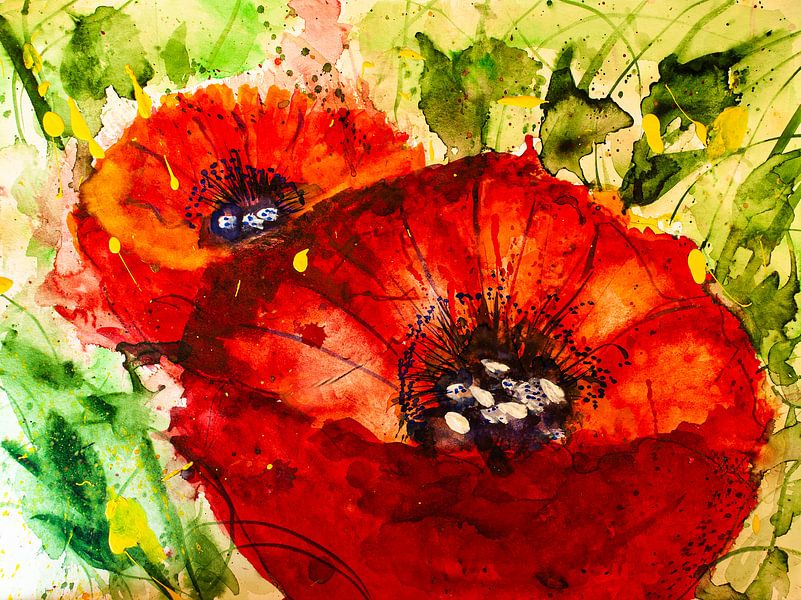 Zwei rote Mohnblumen von Klaus Heidecker