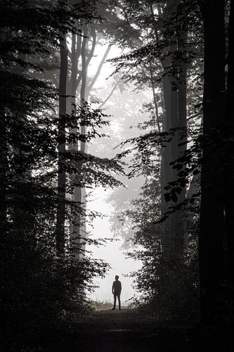 Portrait d'ombre sur la Veluwe