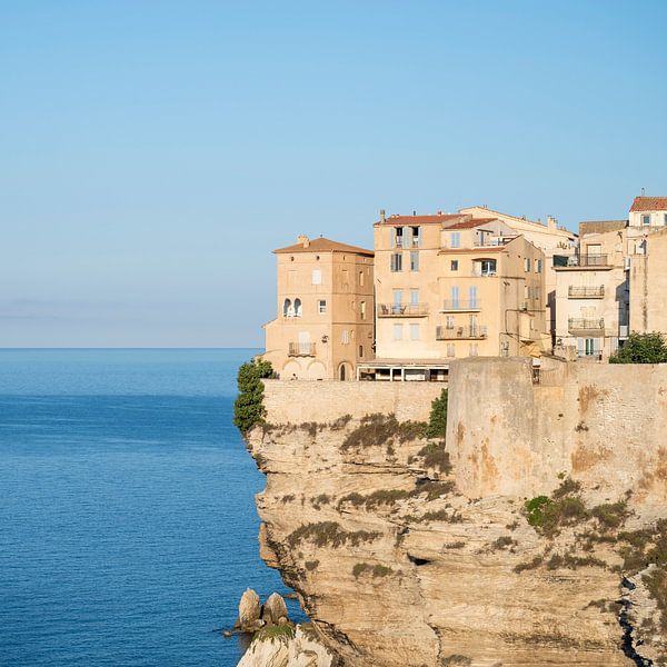 Bonifacio III by Caroline Boogaard