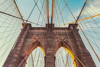 The cables of the bridge