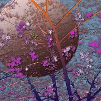 Fleurir | Blossom