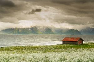 Schönes Licht Vesteralen Norwegen