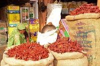 Geurende kruiden in de levendige bazaars van Jaipur