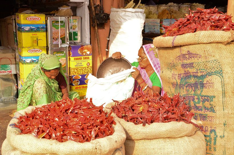 Geurende kruiden in de levendige bazaars van Jaipur von Anouk Hol