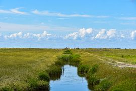 een sloot tussen het friese landschap door van Double u photography