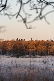 Paysage sur Akos Terdik