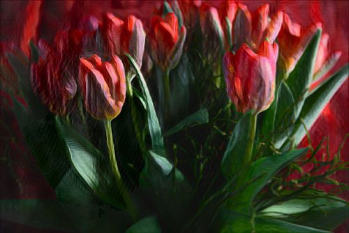 Boeket tulpen in rood
