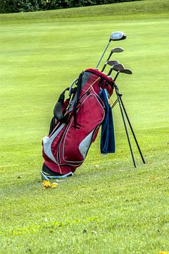 Golf bag by Norbert Sülzner